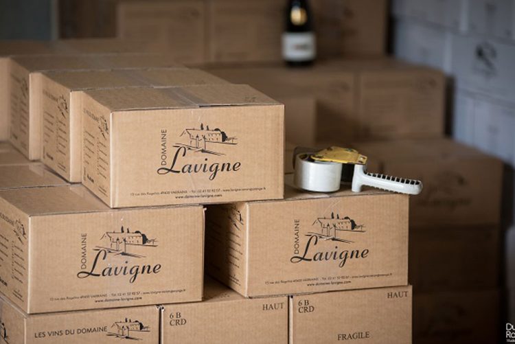 FRAIS DE PORT OFFERT Domaine Lavigne Véron